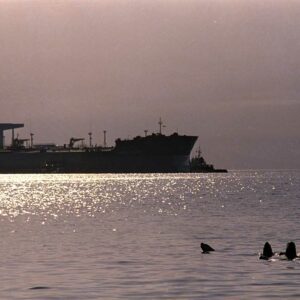 what did the exxon valdez oil tanker hit in alaska that caused the huge oil spill