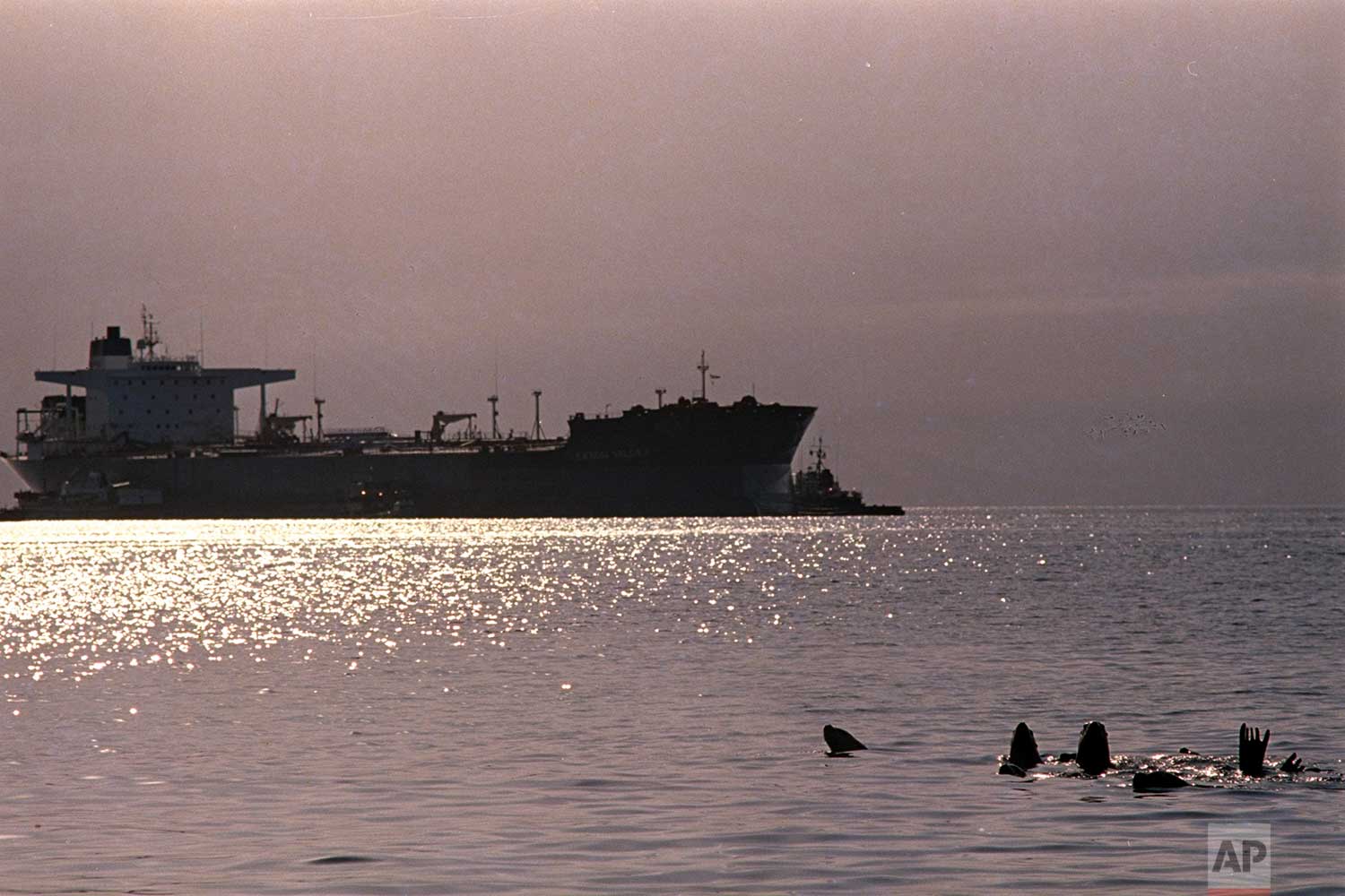 what did the exxon valdez oil tanker hit in alaska that caused the huge oil spill