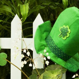 what do leprechauns do for a day job and why did st patrick banish snakes from ireland