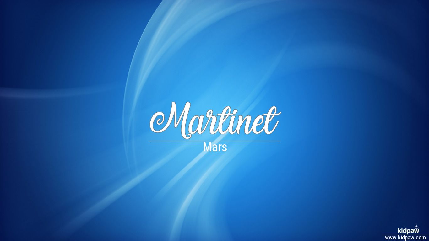 what does martinet mean and where does the word martinet come from