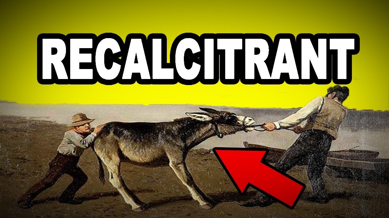 what does recalcitrant refractory mean and where does the word recalcitrant come from