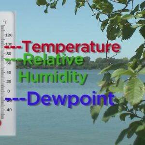 what does the dew point mean and what temperature is the dew point