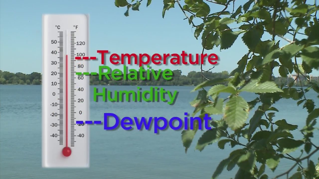 what does the dew point mean and what temperature is the dew point