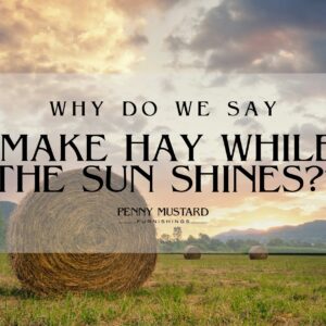 what does the expression to make hay while the sun shines mean and where does it originate