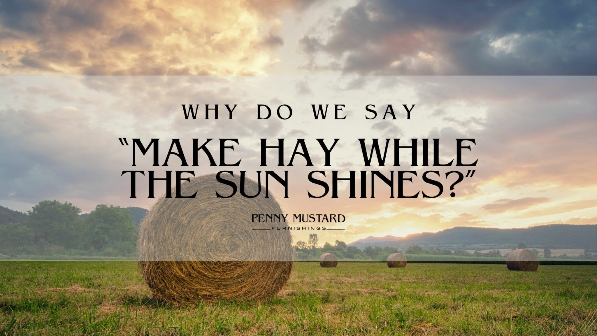 what does the expression to make hay while the sun shines mean and where does it originate