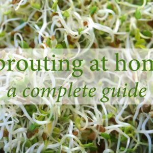 what does the expression to put one through a course of sprouts mean and where does it originate