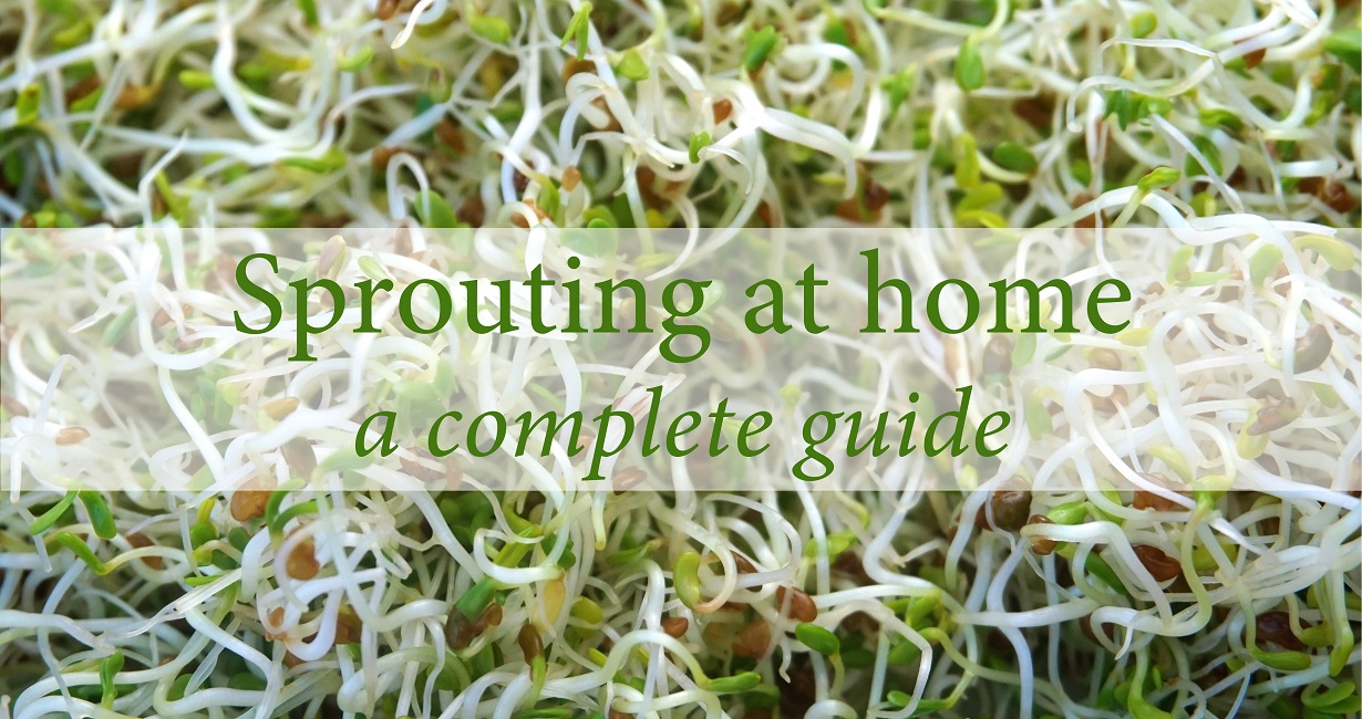 what does the expression to put one through a course of sprouts mean and where does it originate