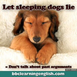 what does the phrase let sleeping dogs lie come from and what does it mean