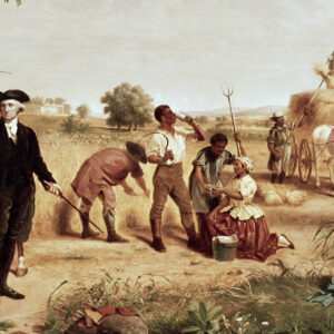 what happened when slaves in colonial america got sick scaled