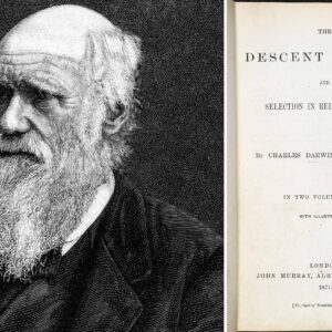 what influence did charles lyell have on charles darwins theory of evolution