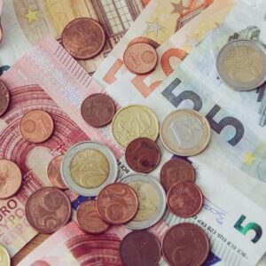 what is a euro and when were euro bills and coins introduced as official currency in europe