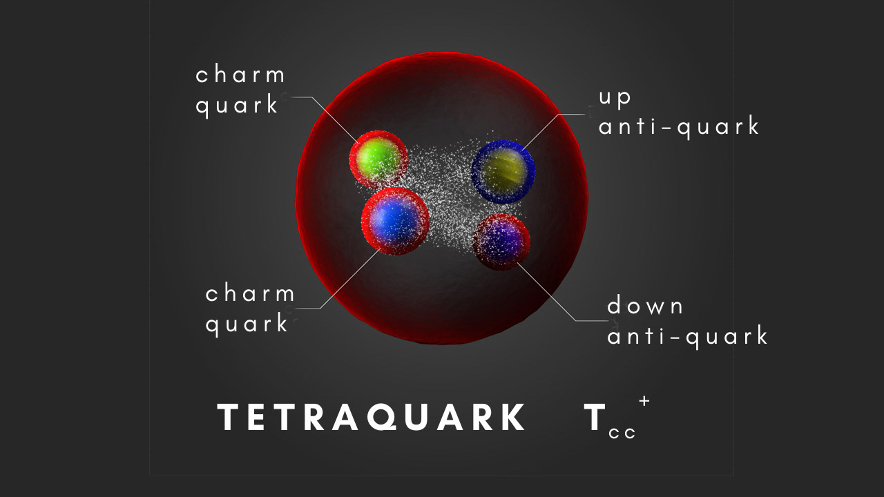 what is a quark and when was it discovered