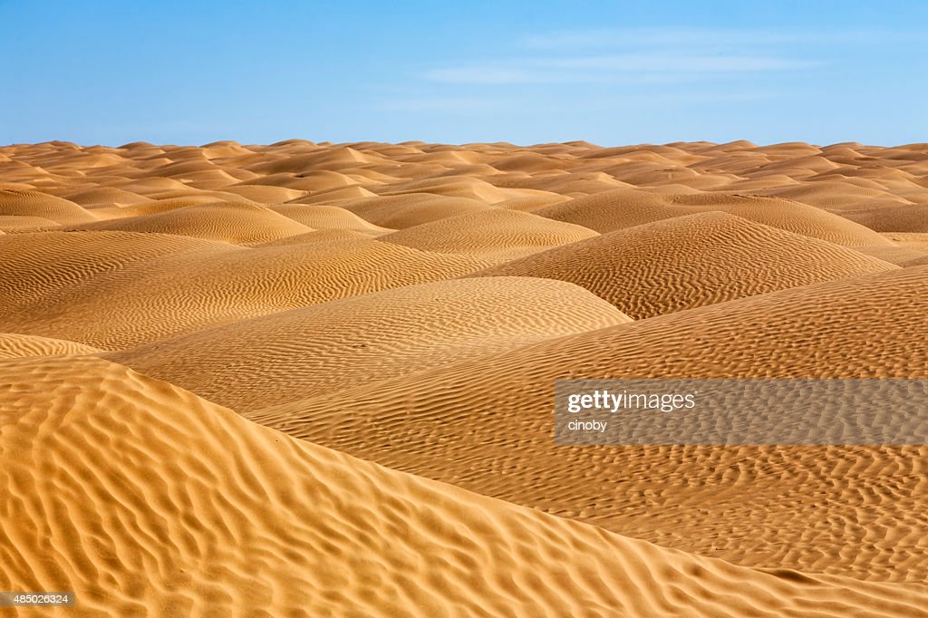 what is a sand sea and what is the biggest erg in the united states
