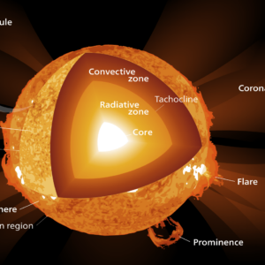 what is a solar prominence what do solar prominences look like and how big do solar prominences get