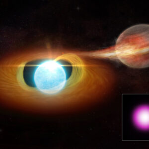 what is a white dwarf how does a star become a white dwarf and how dense is a white dwarf
