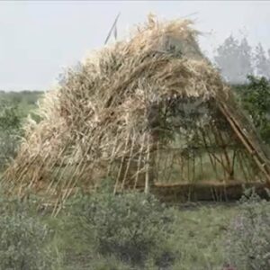 what is a wigwam and what were wigwams made of