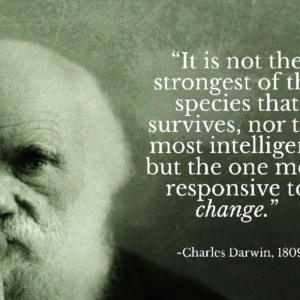 what is natural selection and how did charles darwin develop the theory of evolution in 1838