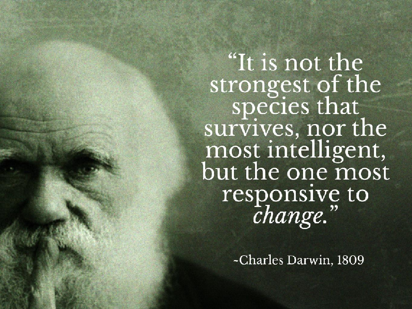 what is natural selection and how did charles darwin develop the theory of evolution in 1838