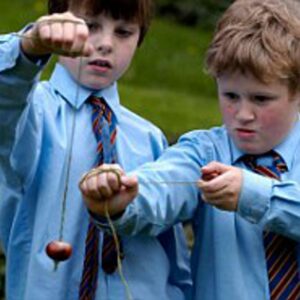 what is the best way to strengthen a conker before a conker fight and why are older conkers harder