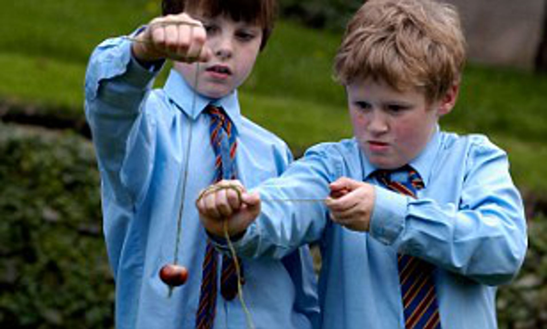 what is the best way to strengthen a conker before a conker fight and why are older conkers harder