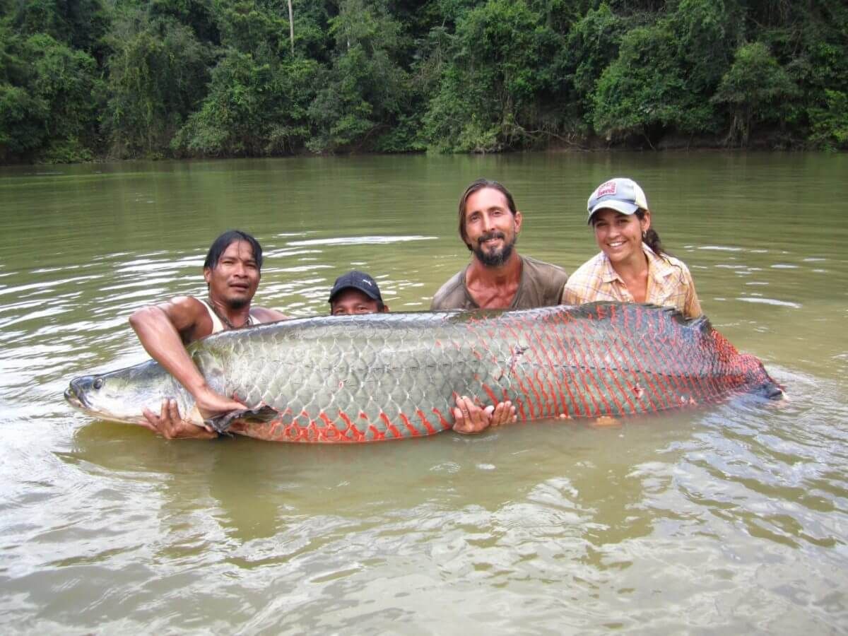 what is the biggest fish in the world