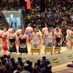 what is the ceremony that is performed before a sumo match called and how is dohyo iri performed