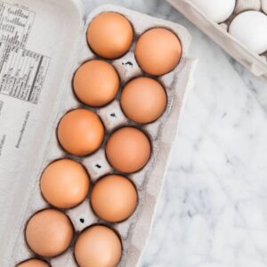 what is the difference between brown eggs and white eggs and are fertilized eggs more nutritious
