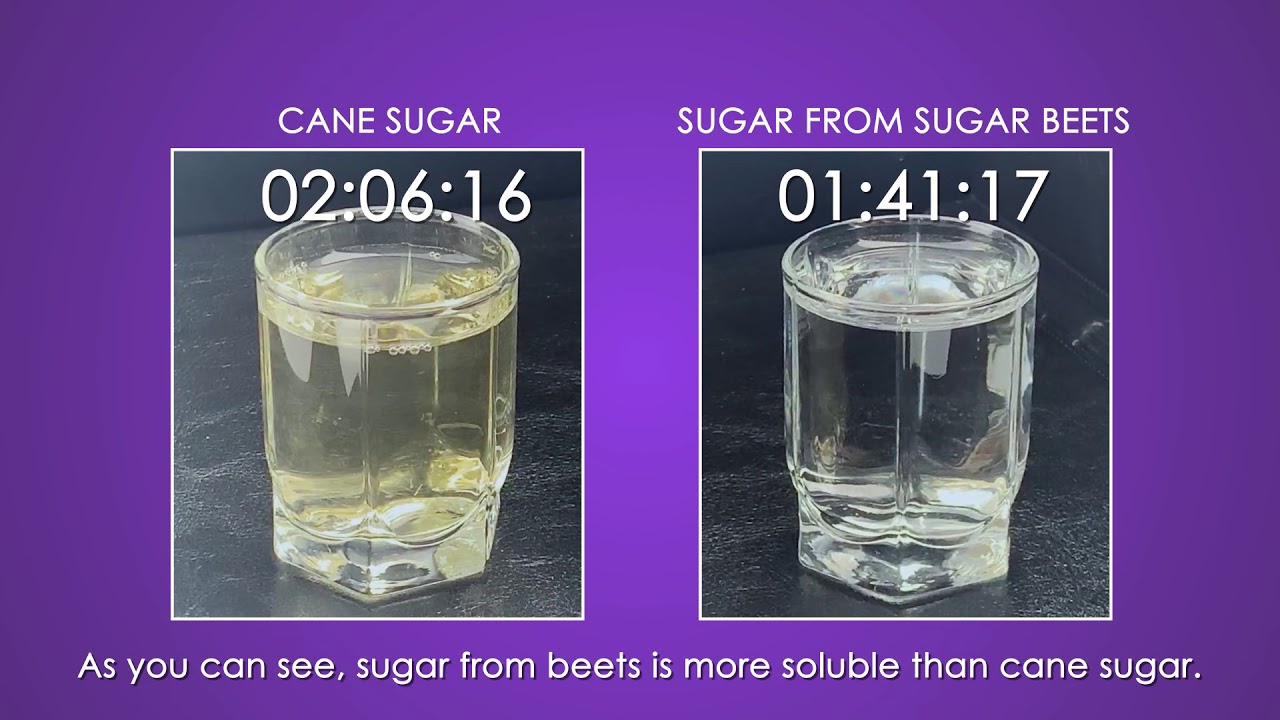 what is the difference between cane sugar and beet sugar