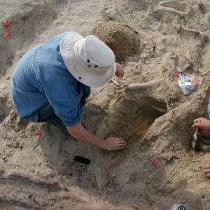 what is the difference between paleontology archaeology and anthropology and why