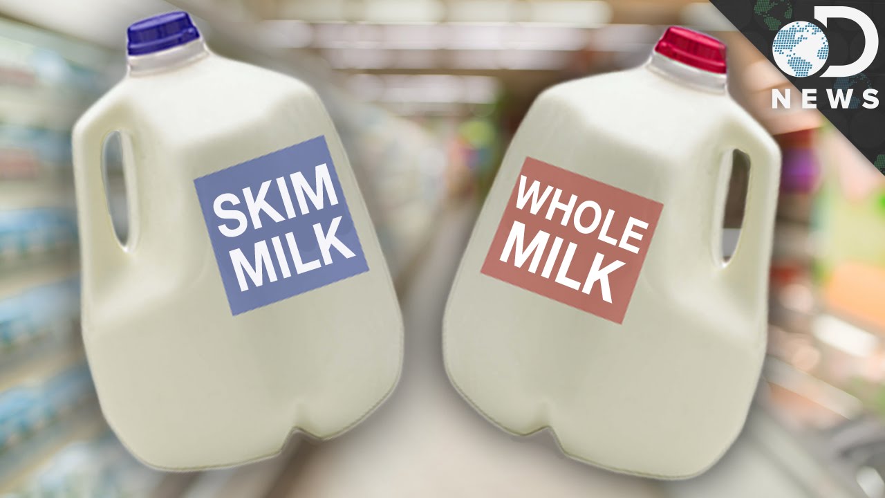 what is the difference between whole milk skim milk 2 percent milk and 1 percent milk