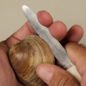 what is the easiest best way to open live clams