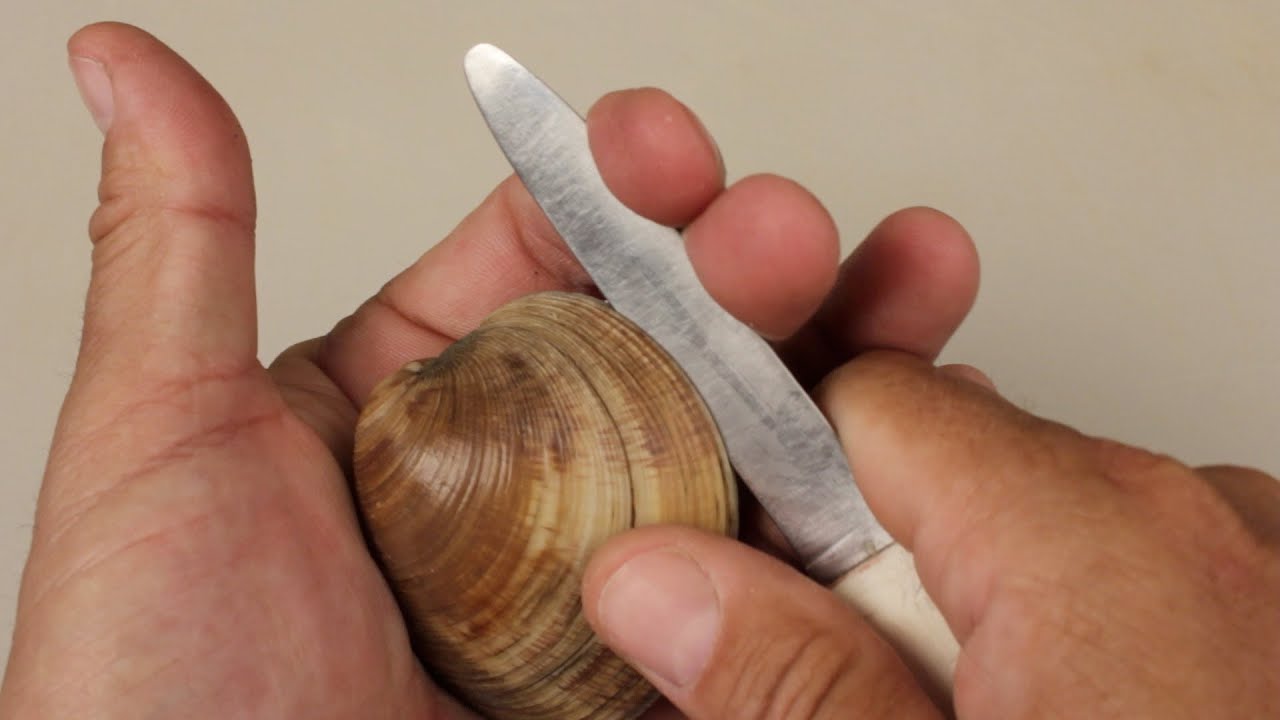 what is the easiest best way to open live clams