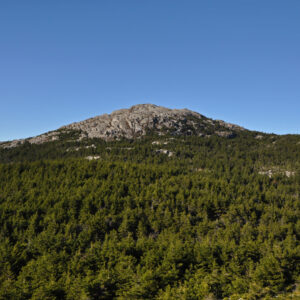 what is the highest mountain in new england and what are the names of the 5 monadnocks in new hampshire scaled