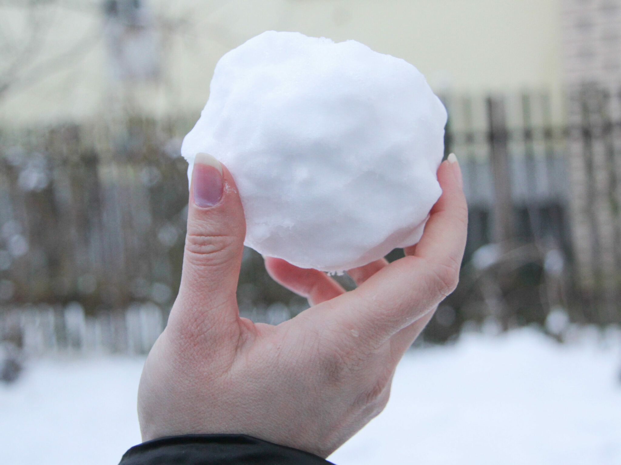 what makes a snowball hold together scaled