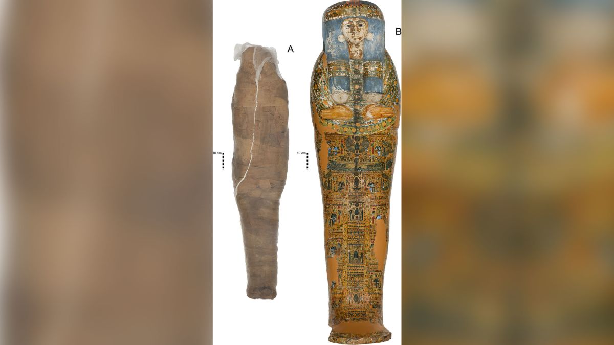 what organ of the body was never removed when the ancient egyptians mummified it