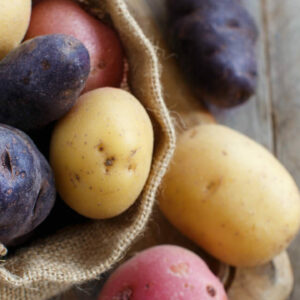 what types of food come from south america and when were potatoes first cultivated in south america