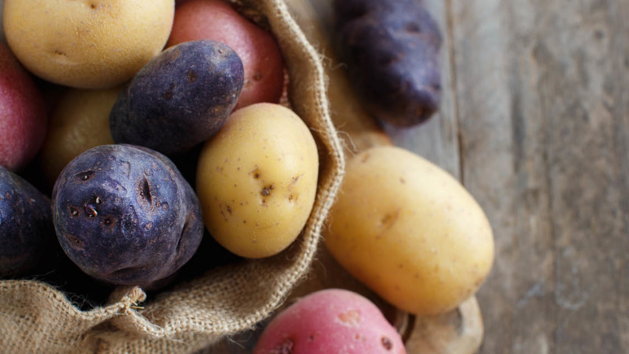 what types of food come from south america and when were potatoes first cultivated in south america