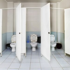 what types of germs and diseases can you catch in public toilets
