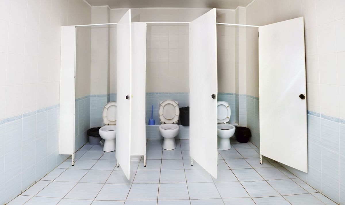 what types of germs and diseases can you catch in public toilets