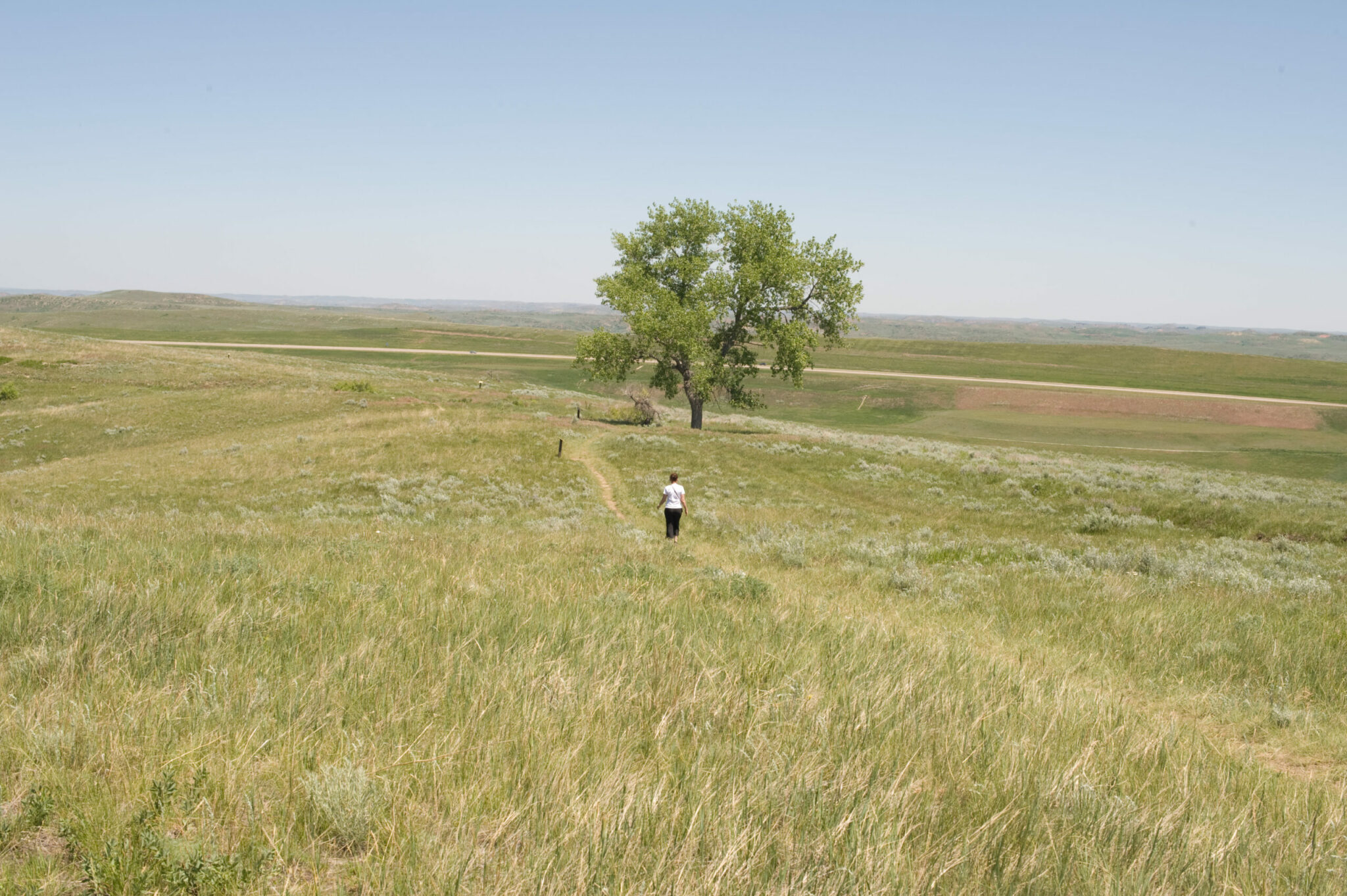 what was red clouds war and and why did the lakota sioux defend the bozeman trail scaled