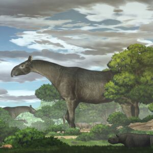 what was the biggest prehistoric land mammal in the world scaled