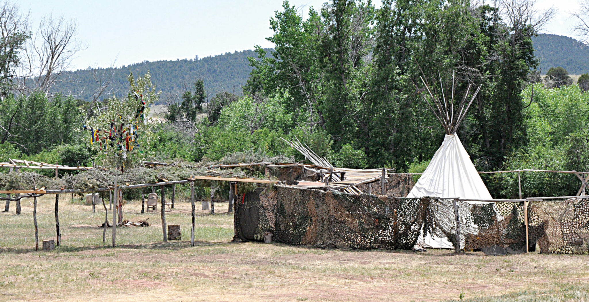 what was the sun dance and why was the religious ceremony held by plains indian tribes scaled