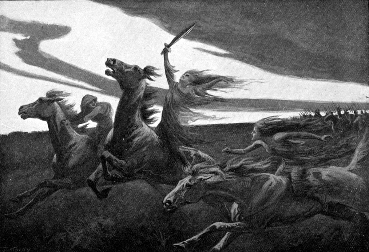 what was valhalla in norse mythology and what did odin plan to use the einherjar for