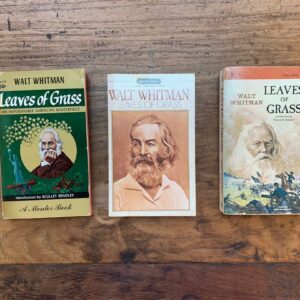 what was walt whitmans day job after publishing leaves of grass