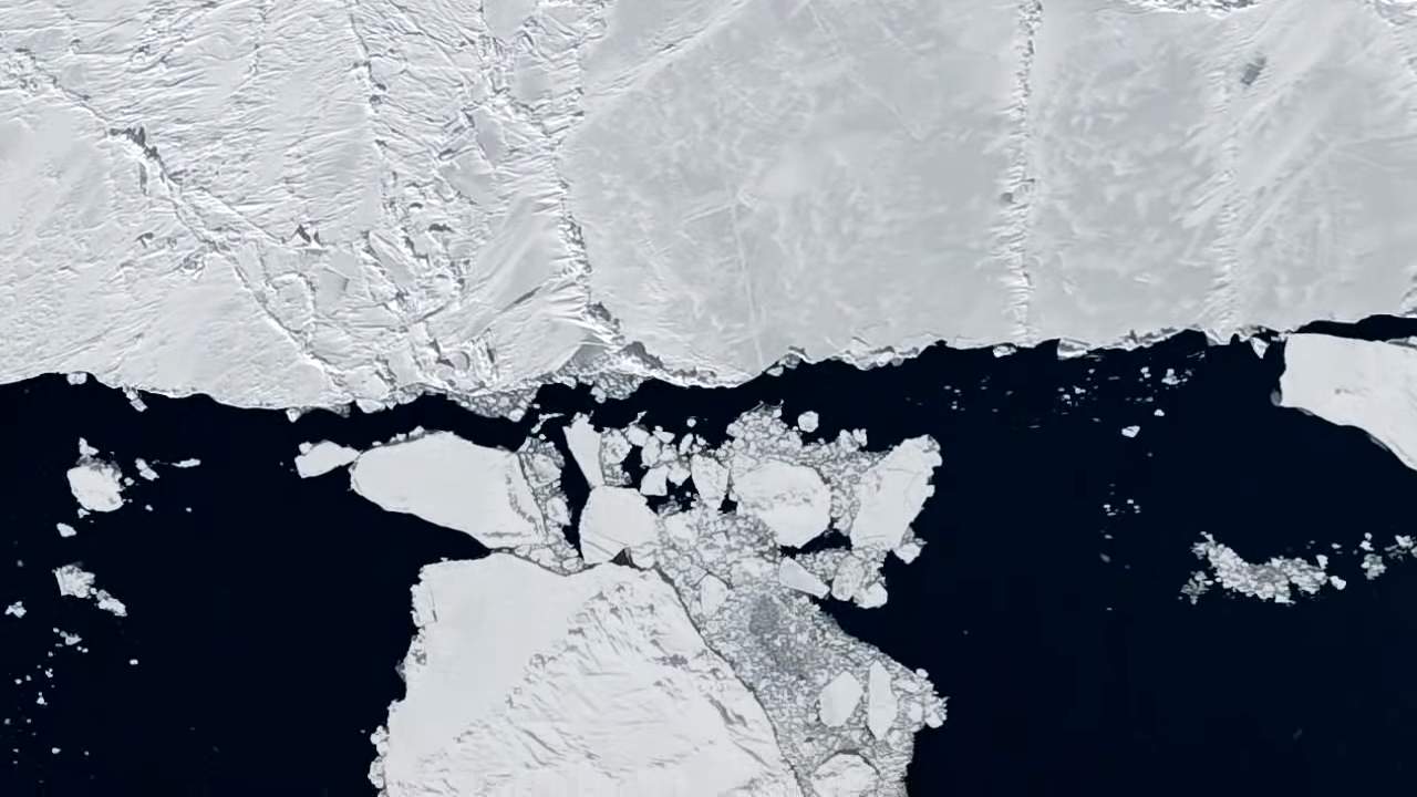 what would happen if the antarctic ice sheet melted and how high would the sea level rise