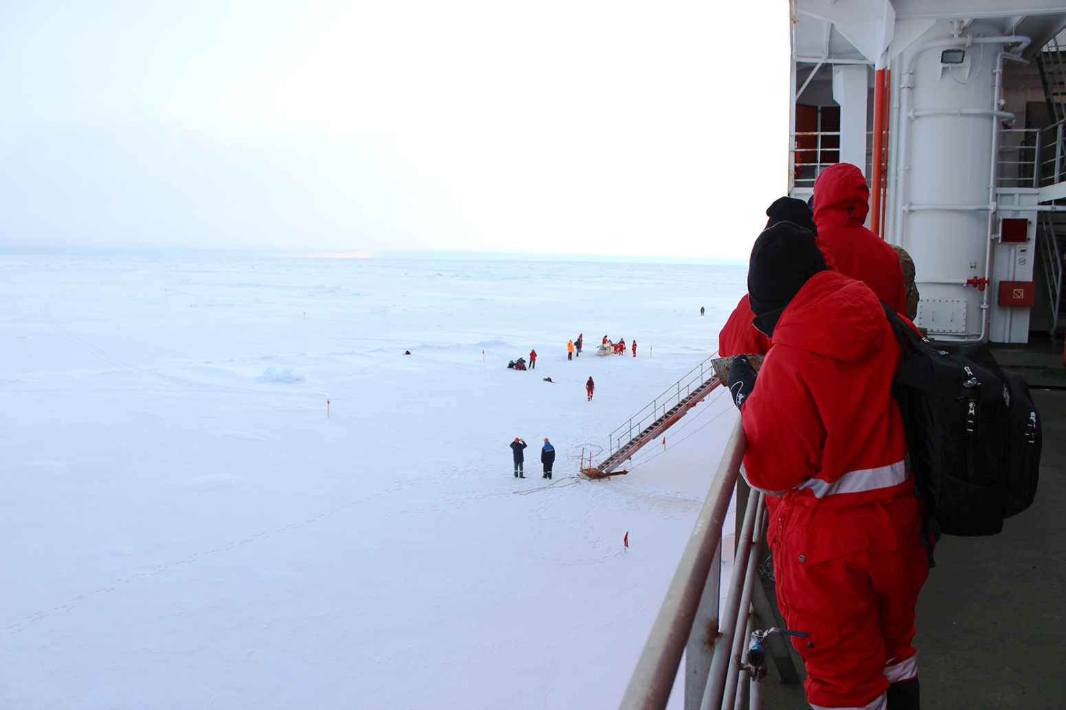 when was alfred wegeners final expedition to greenland to monitor and study arctic weather