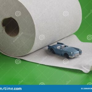 when was toilet paper first used and what did people use before the invention