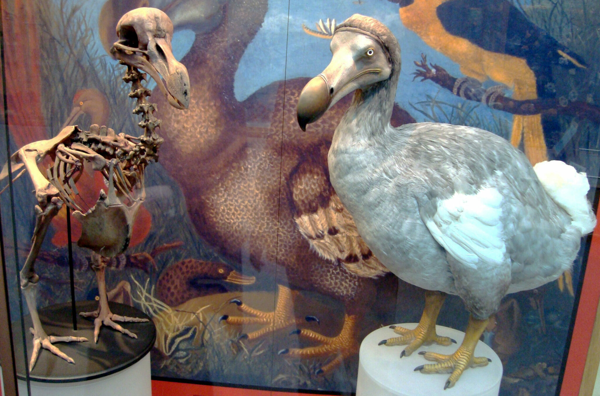 where did the dodo bird live and how many people live in mauritius scaled