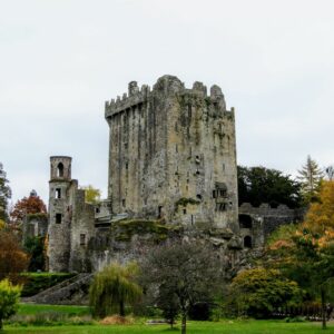 where did the term blarney originate for the irish gift of the gab and what does the word mean
