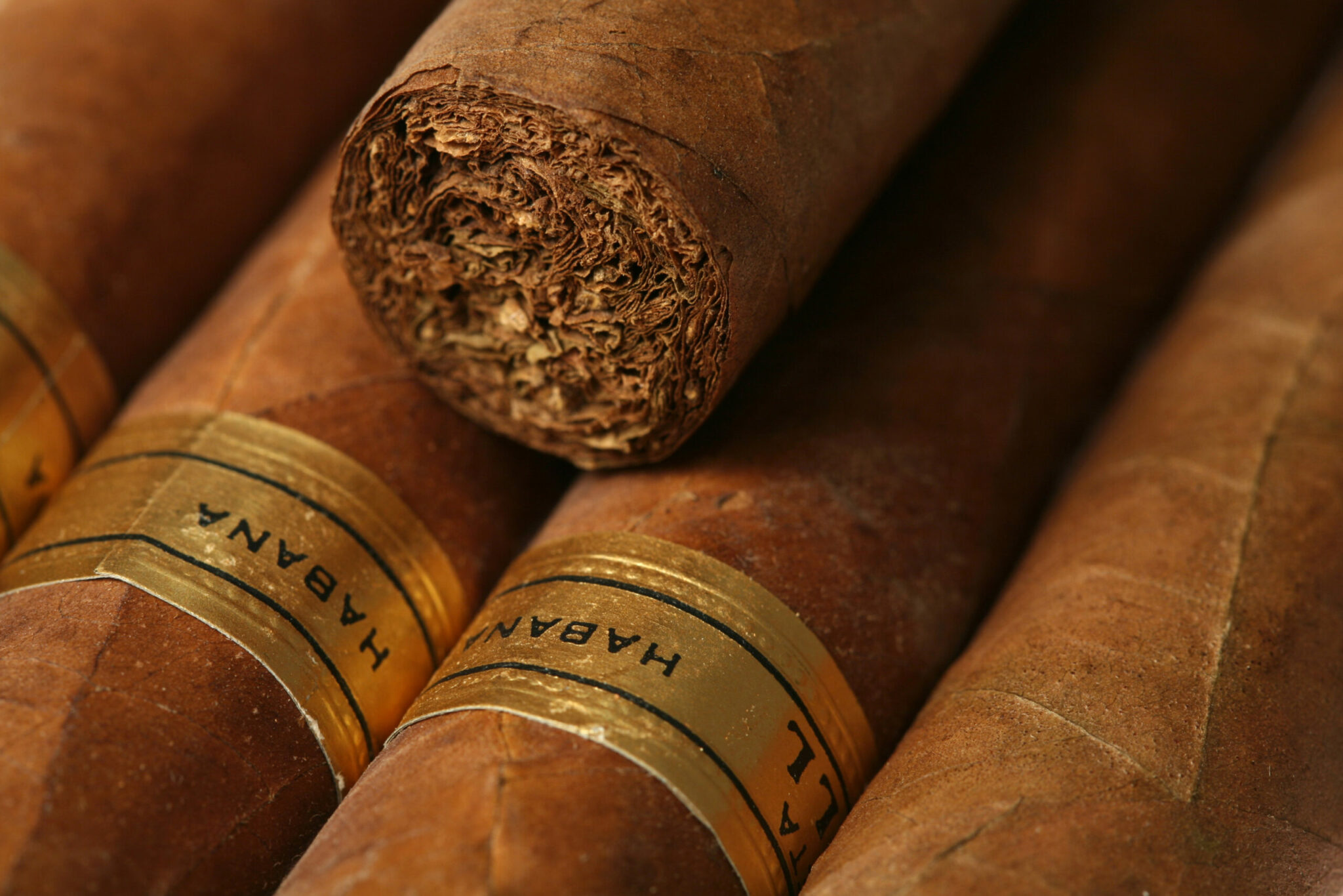 where did the term stogies for cigars come from and what does the word mean scaled